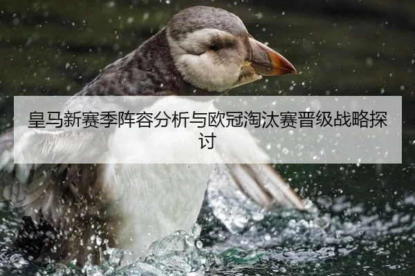 皇马新赛季阵容分析与欧冠淘汰赛晋级战略探讨